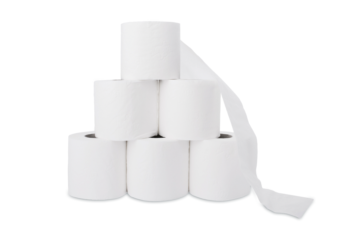 Toilettenpapier Big Pack